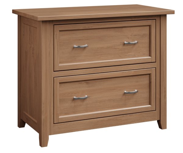 Premier Lateral File