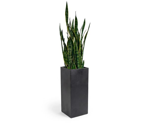 Grand Series Planter